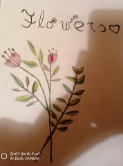 Auksė